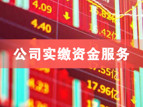 齐齐哈尔公司实缴资金服务