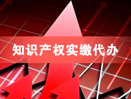 齐齐哈尔知识产权实缴资本代办